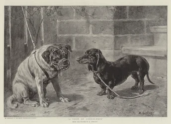 A Visit of Condolence